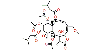 Gemmacolide AD